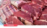 CHUBUT:CARNE DE BURRO LLEGA AL MERCADO