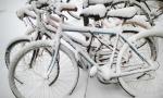 Bajo la nieve