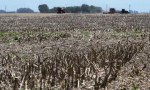 Para 2024 proyectan que la economía argentina caerá 2% 