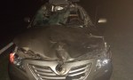 Empresario gonzaleño accidentado