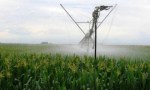 Según la FAO, Argentina puede sumar riego en 6,9 millones de hectáreas