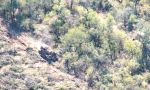 Aumentarán en Salta un 400 por ciento las multas para los desmontes ilegales