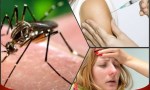 La vacunación contra la fiebre amarilla solo será gratuita en Anta