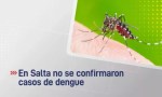 En Salta no se confirmaron casos de dengue