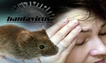 Hay 12 casos de Hantavirus confirmados 