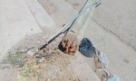 Postes Peligrosos
