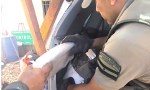Imputan y dictan la prisión preventiva a un empleado de la justicia por transportar 23 kilos de marihuana