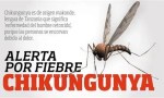 Más de 150 casos confirmados de chikungunya 