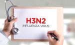 Súper gripe H3N2: cómo puede impactar en Argentina 