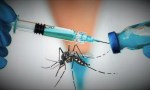 Vacunas contra el dengue para las zonas priorizadas