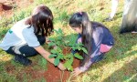 Las Lajitas y el Día del Medio Ambiente
