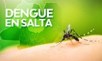 Nuevos brotes de dengue y confirmaron una nueva muerte en Salta