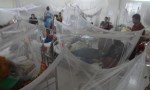 Más de 1.000 muertos en Bangladés por epidemia de dengue