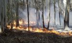 Persisten los incendios forestales en Corrientes, Río Negro, Misiones, Chubut y Formosa