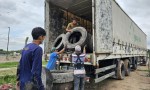 Para erradicar el Dengue, retiran neumáticos en desuso