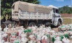 Tartagal: imputan a tres hombres por contrabando, lavado de activos y asociación ilícita, exportaban ilegalmente granos 