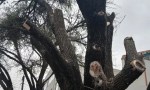 Clausuraron preventivamente la clínica San Roque