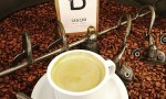 Salta es la provincia con más hectáreas de café plantadas