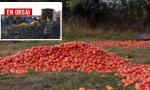 Productores de Salta tiraron 200 toneladas de verduras por falta de ventas y precios de crisis