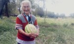 Tiene 92 años y cosechó zapallos gigantes a pesar de la sequía.