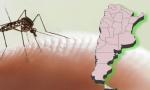 El Boletín Epidemiológico Nacional reveló tres casos de sarampión y dos de dengue en nuestra provincia.