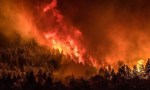 Incendios, desmontes y un ecosistema que podría no recuperarse jamás