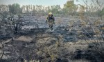Un rayo impactó en un loro, se prendió fuego y desató un incendio