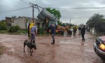 La lluvia castigó a Santa Sylvina: voló el techo de una vivienda y los caminos rurales quedaron intransitables.