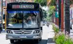 Levantaron el paro de colectivos y casi todas las líneas circulan con normalidad.
