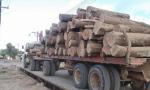 Retienen carga de productos forestales por irregularidades.
