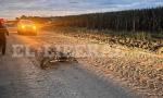 Trágico accidente en Sachayoj: un motociclista murió tras chocar con una camioneta.