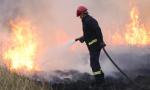 Solicitan extremar precauciones para evitar los incendios forestales.