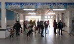 Terror en el hospital 4 de Junio: una pareja robó un recién nacido y desató una búsqueda desesperada.