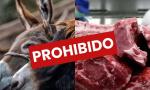 ¿Se vende carne de burro en Santiago? Pro Carne lo descartó y advirtió sobre riesgos sanitarios.