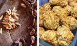 Pinus Pinea - El fruto seco más caro del mundo ya se produce en la Argentina.