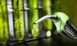 Medida oficial: aumentan el corte de bioetanol para amortiguar el precio de los combustibles.
