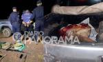 Lucha contra el abigeato: atraparon a cuatrero cuando intentaba darse a la fuga.
