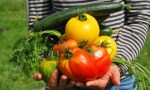 "Comer sano significa comer de todo, algo que puede guiar un profesional".