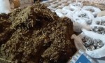 El engaño a jóvenes paraguayos a quienes obligaban a vender droga.