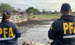 Luján: Rescatan animales silvestres en peligro de extinción en una granja ilegal.