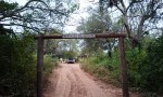 Dormir en el monte y avistar fauna silvestre: la experiencia que conquista a visitantes de El Impenetrable.