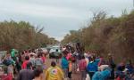 Un camión cargado de vacas volcó en Córdoba y pobladores faenaron varios animales.