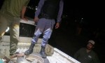 Cazadores furtivos huyeron del Parque Loro Hablador y abandonaron 23 quirquinchos bola.