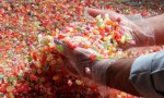 Caramelos Lipo y galletitas Tía Maruca no pueden pagar sueldos.