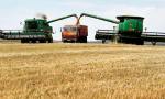 Récord histórico en el campo: la cosecha superó las 163 millones de toneladas.