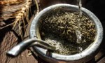El yuyo perfecto para el mate: no genera acidez y mejora la digestión.