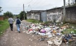 "Gritaban de dolor" - La epidemia de chikungunya no da tregua en Tucumán.
