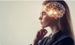 Un grupo de científicos descubrió cuál es la temperatura en la que mejor funciona el cerebro