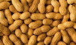 La Argentina es líder mundial en exportación de maní.