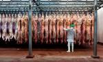 La carne argentina amplía mercados y logra cifras récord en exportaciones.